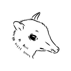 continuous lines mouse deer logo symbol vector icon illustration graphic design