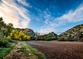 Pathway and fields at Sweet River gorge