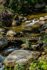 Tranquil stream flowing over rocks natural landscape serene environment close-up viewpoint nature's beauty