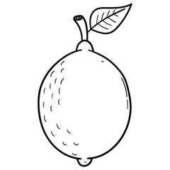 Hand drawn doodle lemon with leaf on white background.