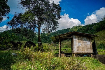 Bamboo house in lush green landscape rural area nature photography daytime scenic view peaceful retreat