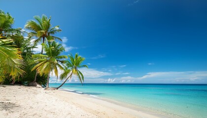 Obraz premium Beautiful tropical beach with palm trees, sunset beach seascape, design template for travel banner.