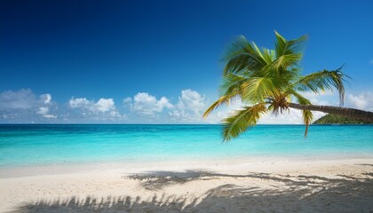 Fototapeta premium Beautiful tropical beach with palm trees, sunset beach seascape, design template for travel banner.