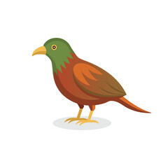  Kea Bird isolated flat vector illustration on white background.