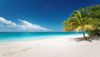 Beautiful tropical beach with palm trees, sunset beach seascape, design template for travel banner.