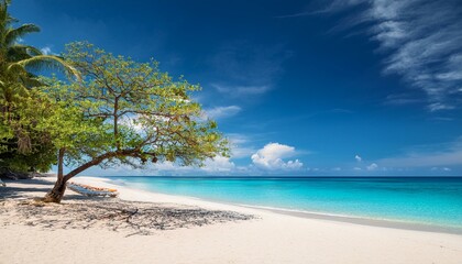 Beautiful tropical beach with palm trees, sunset beach seascape, design template for travel banner.