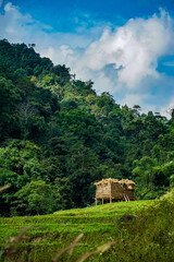 Harvest preparation at a secluded mountain farm lush green forest scenic photography serene nature elevated perspective