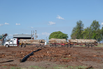 Fototapeta premium Timber logging truck, transportation of wood logs trees to sawmill, construction building industry