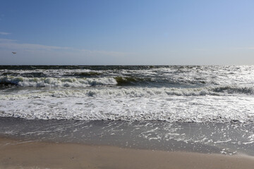 Ocean Waves Crashing on a Sandy Beach Under a Clear Blue Sky. A vibrant seaside scene with frothy waves rolling onto the shore, capturing the beauty and motion of the ocean on a sunny day.