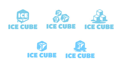 Ice cube logo design template.