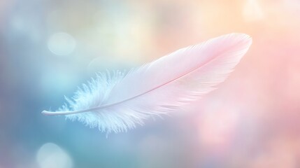Naklejka premium A single white feather against a soft pink and blue gradient.