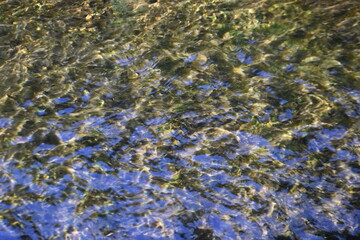 Water Transparency-1