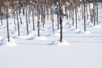 雪が積もった青い池の湖面
