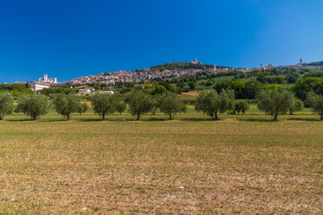 Assisi old town, Province of Perugia, Umbria region, Italy