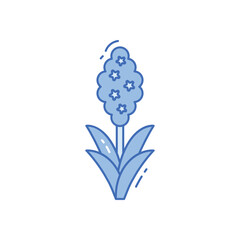 Hyacinth vector icon