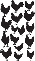 Hen chicken black isolated white background roosters silhouette vector set