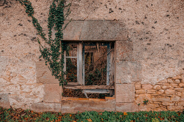 A close-up of a broken wooden window frame surrounded by ivy on a weathered stone wall, symbolizing decay and rustic charm in a rural setting.