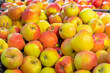 fresh ripe apples on the counter in a supermarket