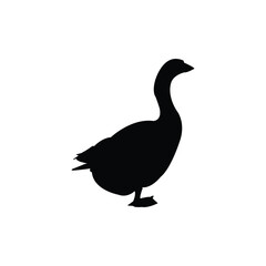 Goose vector silhouette isolated on white background. Black vector of a goose.