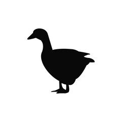 Black duck on white background. Silhouette of a duck. Animals silhouette