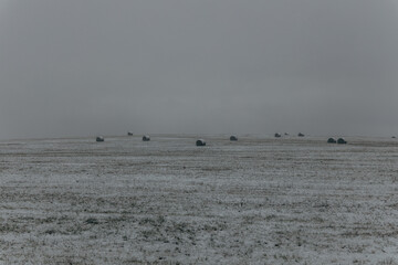 snowy hay bales with fog near farm