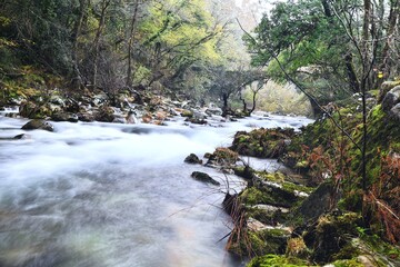 The image shows a flowing river in a forest. The river is surrounded by green trees and moss-covered rocks. The water appears to be moving swiftly, creating a misty effect.