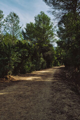 Obraz premium a deserted path in the mountains