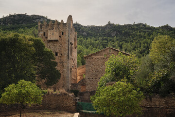 Obraz premium an ancient castle on the background of a forest