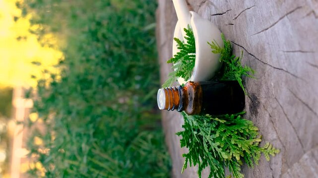 Thyme extract in a bottle. Selective focus.
