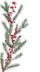 Christmas border with pine snow and red berries on white background