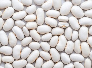 Fototapeta premium Lupins, freshly harvested and removed from their pods, are dried in the sun. They're ready for cleaning and selection. Cultivated in Extremadura, Spain, they are a superfood of the Mediterranean