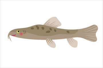 Cute stone loach. Vector simple color flat illustration.