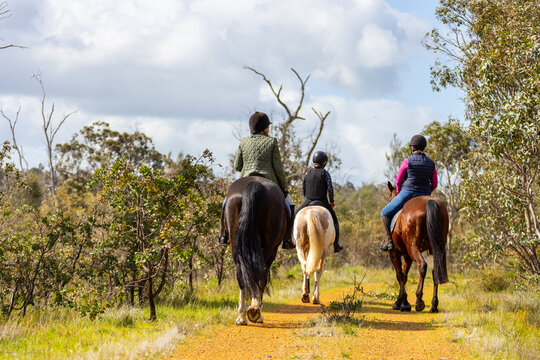 Back view of multi-generation women riding horses along a narrow dirt path.