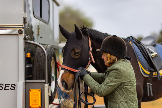 senior woman fixing the rein of the horse with a fly mask.