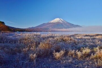 Fototapeta premium 初冬の山中湖・富士山