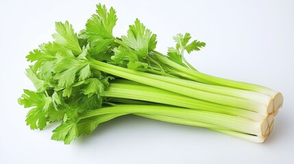 Celery isolated on white background