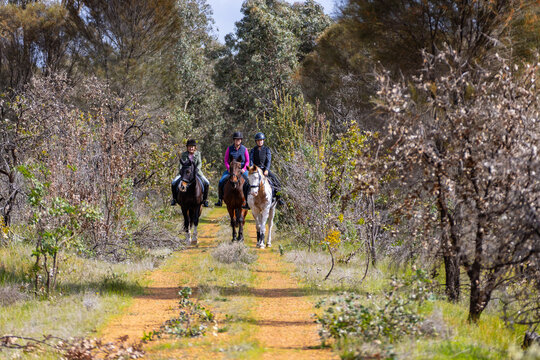 Multi-generation women riding horses along a narrow dirt path.