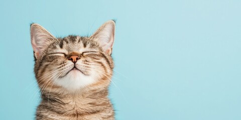 Obraz premium Happy kitten with closed eyes against a light blue background, radiating cuteness.