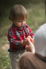 Man hands holding fresh and ripe picked Peach fruits, give it fruit his son. Peaches orchard