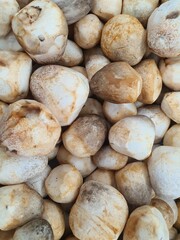 Straw mushrooms on sale at a market in Bangkok, Thailand.