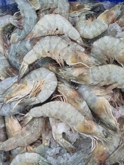 Several small shrimps are on sale at a market in Bangkok, Thailand.