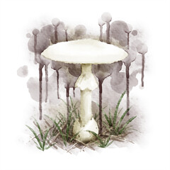 デジタル水彩画＿猛毒キノコのシロタマゴテングタケ