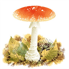 デジタル水彩画＿毒キノコのベニテングタケ