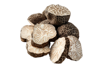 Fresh summer truffles Scorzones isolated on white transparent background, great for culinary and gourmet themes.