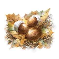 デジタル水彩画＿落ち葉の上のどんぐり