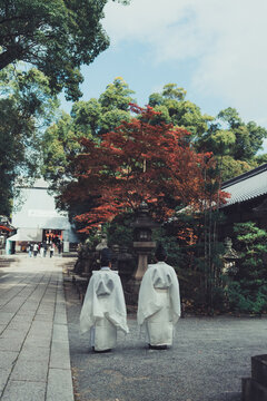 神社の参道を歩く宮司さん