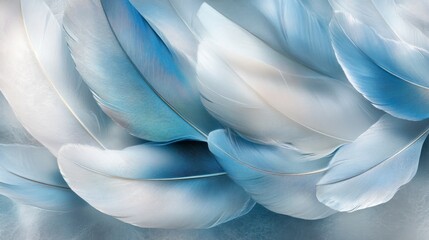 Soft Blue and White Bird Feathers Close Up
