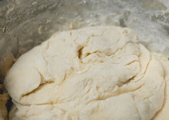 Bowl of freshly kneaded dough.