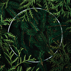 Christmas mockup with pine branches forming a circular pattern with a metallic accent on a dark background, perfect for festive decor
