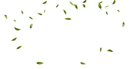 Green leaves fly with a gust of wind on white  background.AI GENERATED